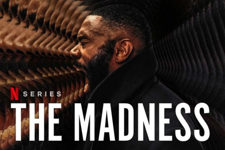 Regarder The Madness (2024) Episode Complet 1-8 VOSTFR Série De Thrillers Sur Les Conspirations