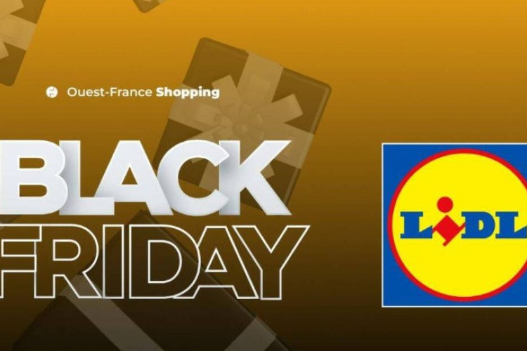 Les Promos Black Friday Lidl 2025, Ne Manquez Pas Les Diverses Réductions Allant Jusqu'à La Moitié Du Prix