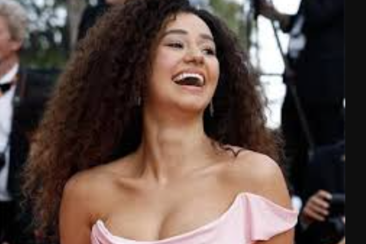 Léna Situations, Qu'est-ce qui l'a rendue célèbre ? Un YouTuber accède à la célébrité littéraire en France