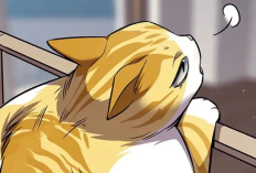 Baca Manhwa Eleceed Chapter 377 Indonesia Sub, RAW! Kaiden Buat Gestella Merona Lagi