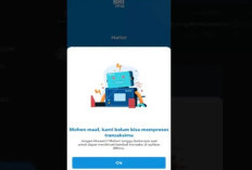 Solusi BRI Mobile Error Hari Ini Jumat 14 November 2025 Cara Atasi Gagal Login, Ternyata Ini Penyebabnya