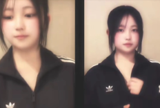 Pemersatu Bangsa! Link Video Chindo Adidas Full mp4 Download Sekarang Sebelum Dihapus: Putih Bersih dan Mulus